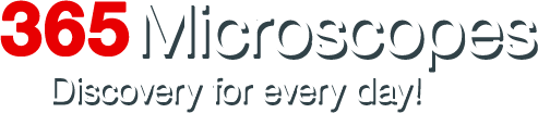 365Microscopes